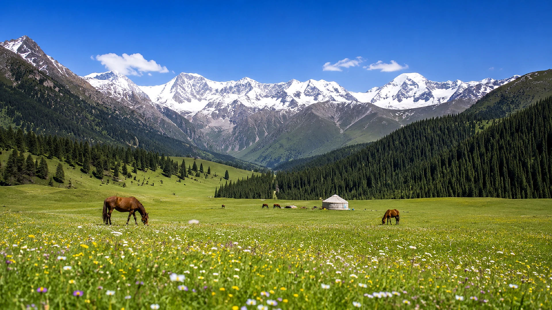Urumqi Round-trip | Tian Mountains Grand Canyon Day Tour | English, Chinese, Japanese, Korean Guides Available - Product Image