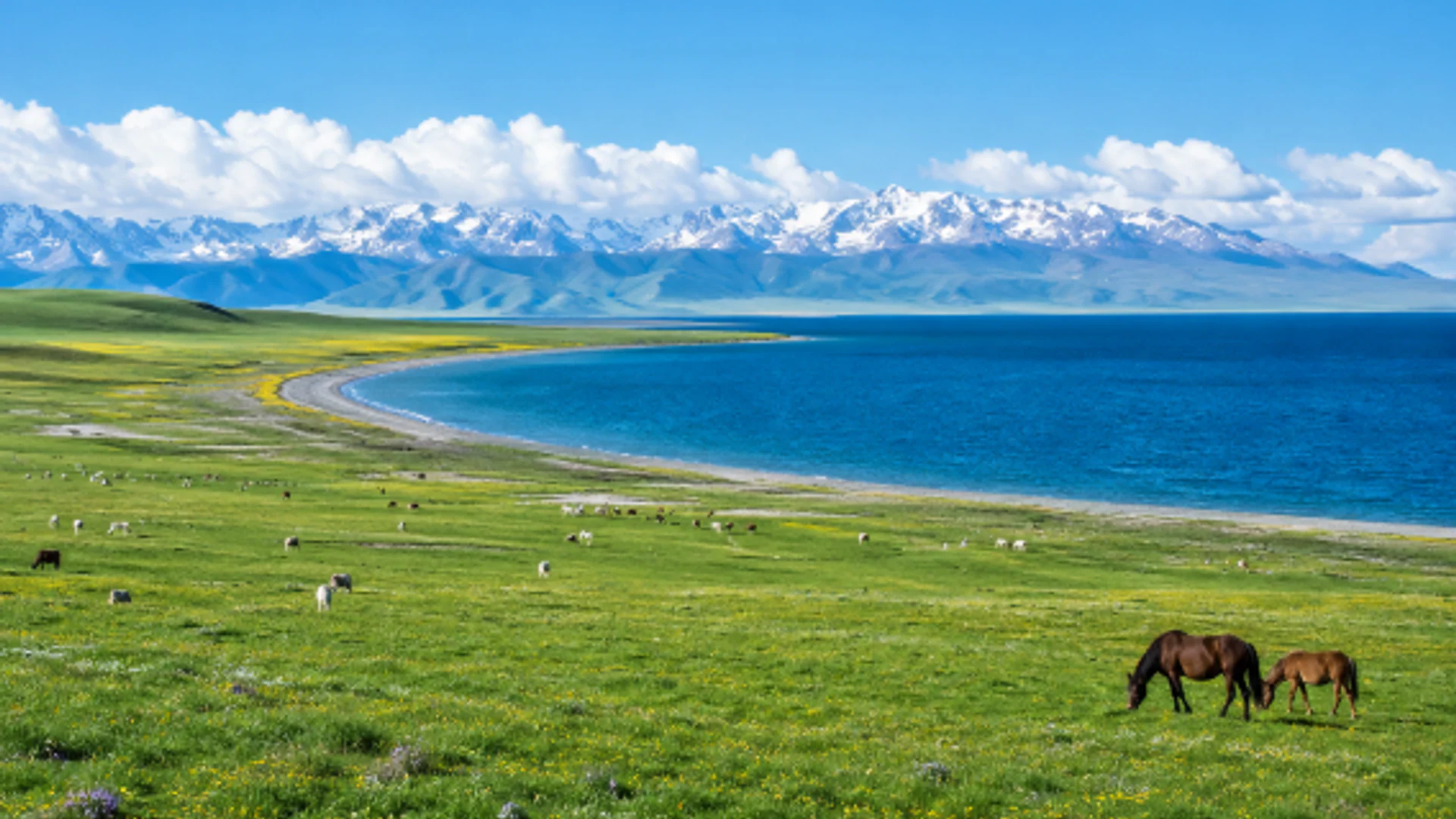 From Yining: Sayram Lake Circuit, Guozigou Valley & Seasonal Lavender Private Day Tour product photo