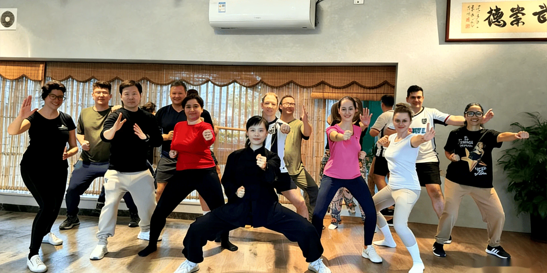 Traditional Chinese Medicine Wellness Day Tour