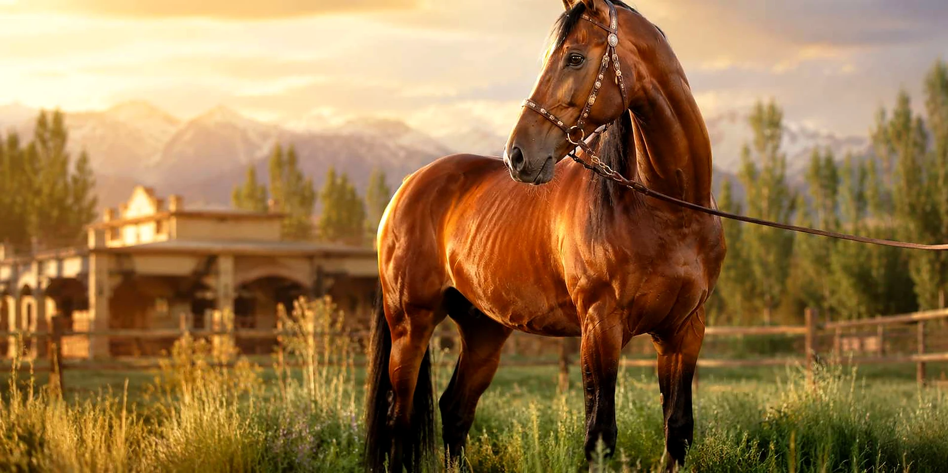 Urumqi Cultural One-Day Tour (Equestrian Performance and Museum Visit)