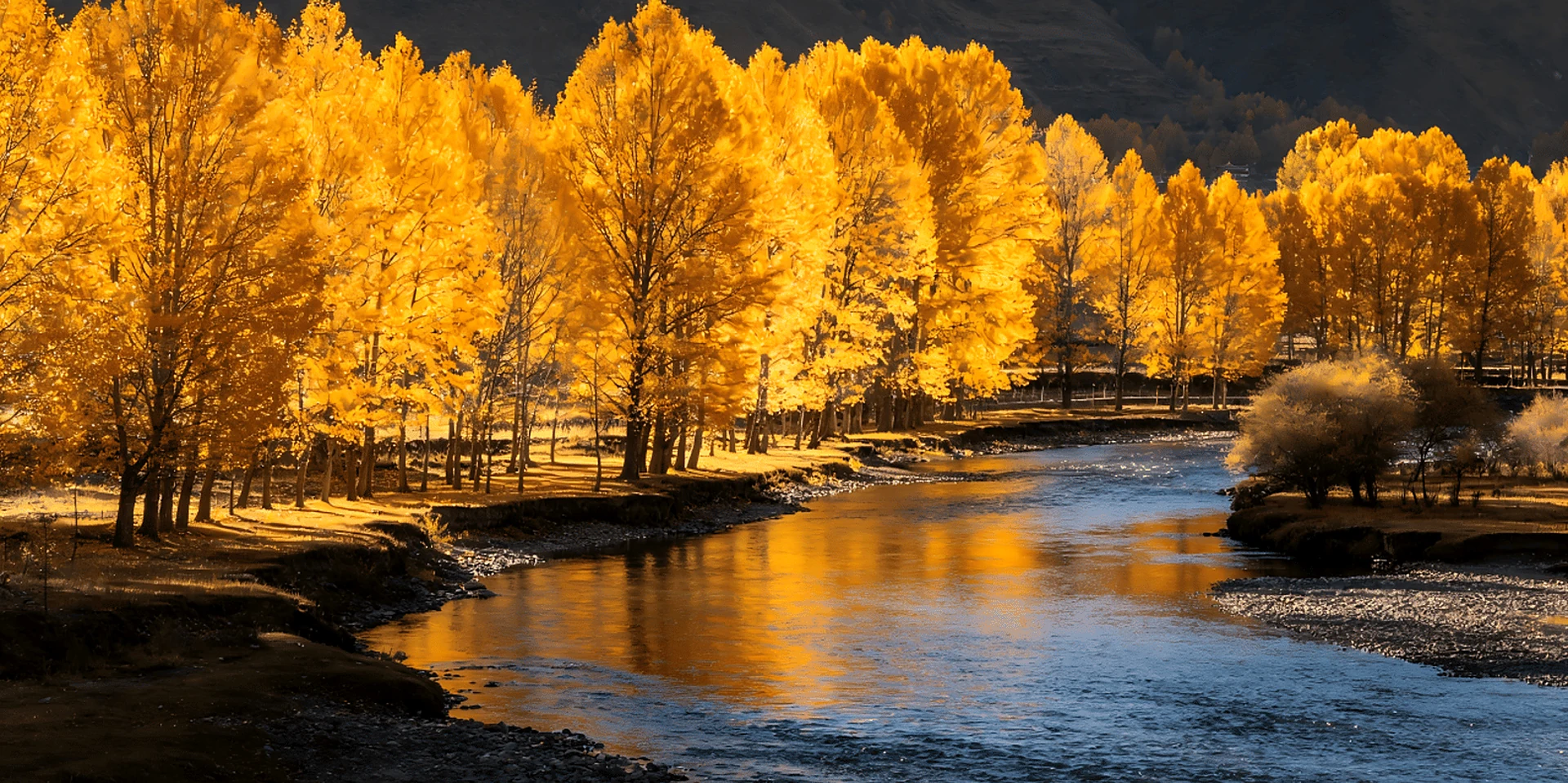 Chengdu: 5-Day Daocheng and Yading Photography Journey